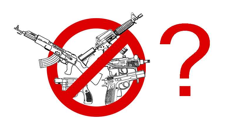 should-guns-be-banned.jpg